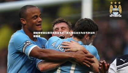 ng体育-捷媒赞誉赫拉德茨克拉洛韦守门员扎德拉日尔为无可争议的捕猎者